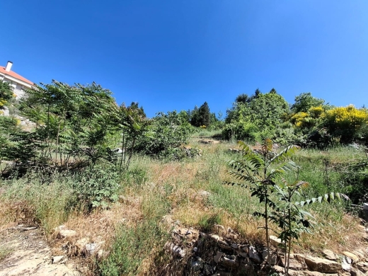 2,195 SQM Land For Rent On Faytroun Highway