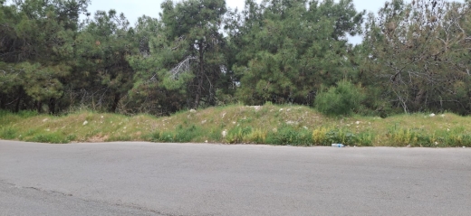 Spacious Land With Seaview For Sale in Bsalim