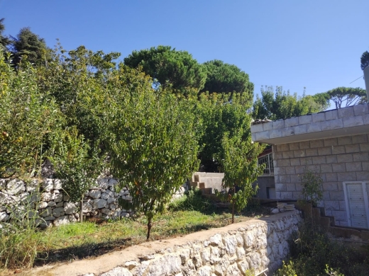 Huge Land With A Stand Alone House For Sale in Ajaltoun — 17