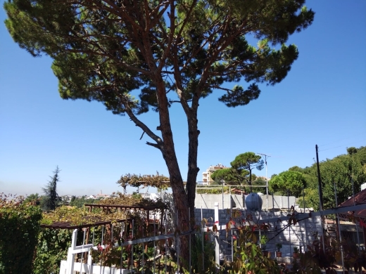 Huge Land With A Stand Alone House For Sale in Ajaltoun