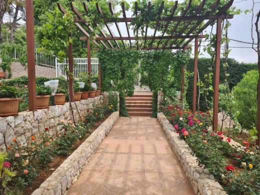 Huge Land With A Stand Alone House For Sale in Ajaltoun — 20