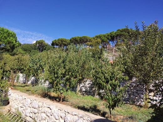 Huge Land With A Stand Alone House For Sale in Ajaltoun — 16