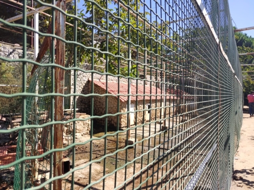 Huge Land With A Stand Alone House For Sale in Ajaltoun — 18