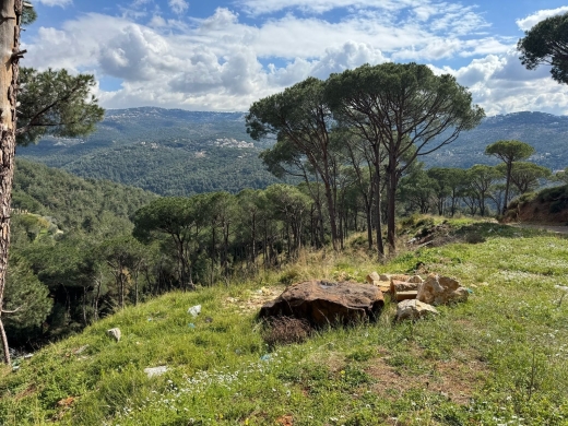 9,030 SQM Land For Sale In Broumana