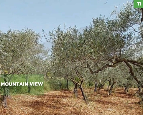 LAND/ أرض للبيع – كورة، كفرقاهل/Koura/ REF#TI137384 !