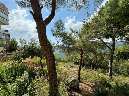 980 SQM Land For Sale in Qortada With A Nice View — 3