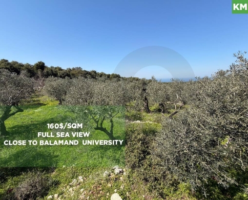 Prime Investment Opportunity, great deal, balamand/بلمند REF#KM133815