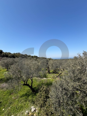 Prime Investment Opportunity, great deal, balamand/بلمند REF#KM133815 — 3
