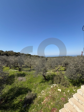 Prime Investment Opportunity, great deal, balamand/بلمند REF#KM133815 — 2