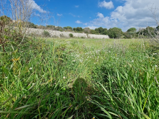 8,000 SQM Land For Sale in Smar-Jbeil Batroun