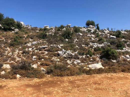 1,200 SQM Land For Sale In Lehfed Prime location