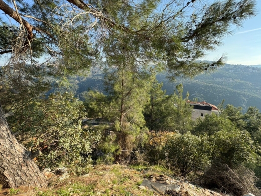 1,400 SQM Land For Sale in Monteverde With A Nice View — 2