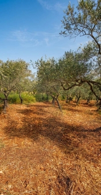Flat, mountain views Excellent Potential in koura Kfarkahel/ كفرقاهل , كورة REF#BD139350 — 3