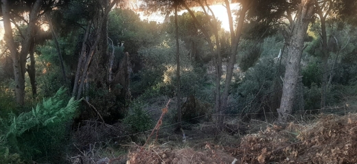 774 SQM Land For Sale in Aoukar