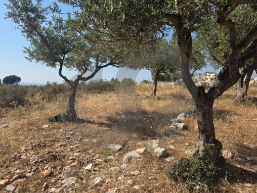 Great deal, flat land, amazing view, Rashdbin, Koura/رشدبين – الكورة REF#YT138178 — 2