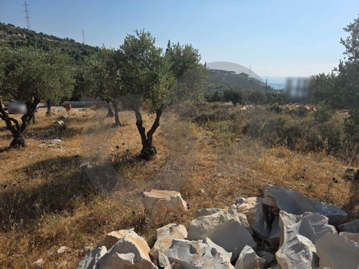 Great deal, flat land, amazing view, Rashdbin, Koura/رشدبين – الكورة REF#YT138178 — 5