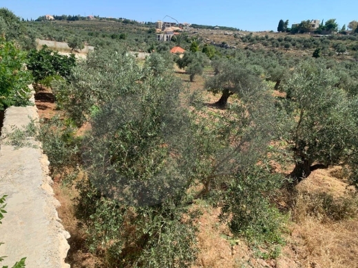 GREAT DEAL,LAND,MAIN ROAD, AFASDIQ-KOURA,عفصديق,REF#YT137889 — 2