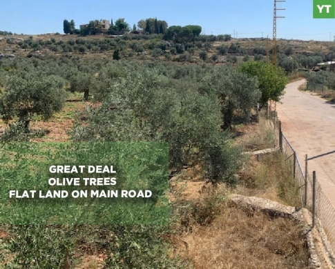 GREAT DEAL,LAND,MAIN ROAD, AFASDIQ-KOURA,عفصديق,REF#YT137889