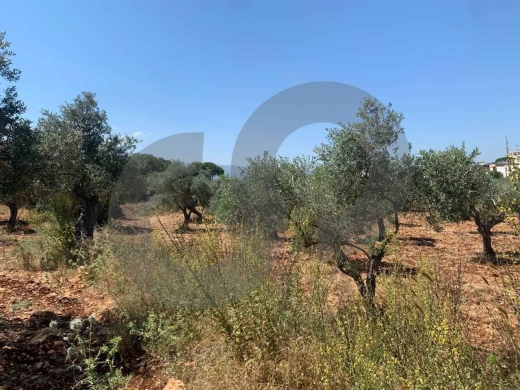 LAND/ Afsdiq – Koura/عفصديق – الكورة/ Zoning 15/30/ REF#YT137891 — 2