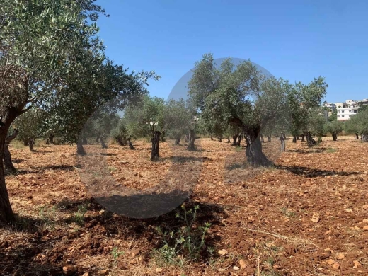LAND/ Afsdiq – Koura/عفصديق – الكورة/ Zoning 15/30/ REF#YT137891 — 7