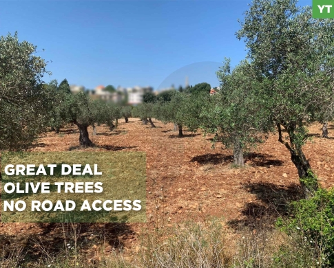 LAND/ Afsdiq – Koura/عفصديق – الكورة/ Zoning 15/30/ REF#YT137891
