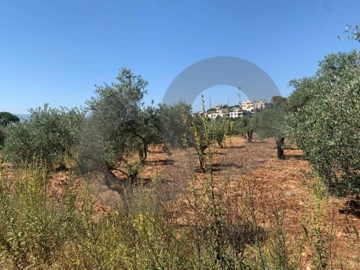 LAND/ Afsdiq – Koura/عفصديق – الكورة/ Zoning 15/30/ REF#YT137891 — 3