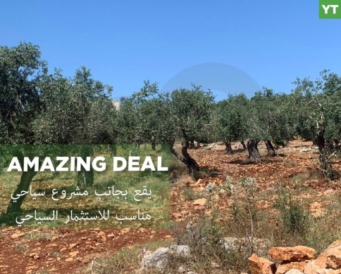 amazing Deal, great Investment , Afsdiq, Koura/عفصديق REF#YT137890