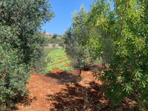 Great Deal, main road, flat land, Afsdiq, Koura/عفصديق REF#YT137888 — 5