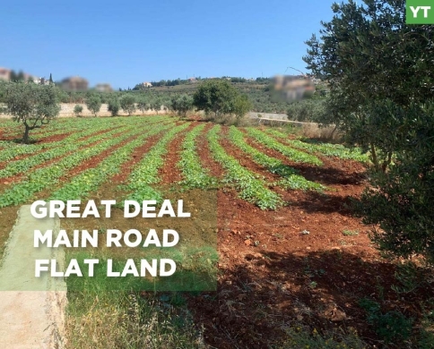 Great Deal, main road, flat land, Afsdiq, Koura/عفصديق REF#YT137888
