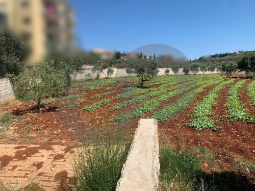 Great Deal, main road, flat land, Afsdiq, Koura/عفصديق REF#YT137888 — 2