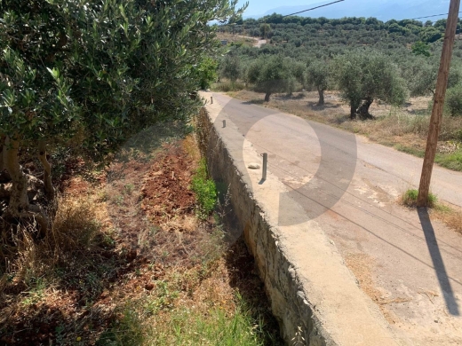 Great Deal, main road, flat land, Afsdiq, Koura/عفصديق REF#YT137888 — 3