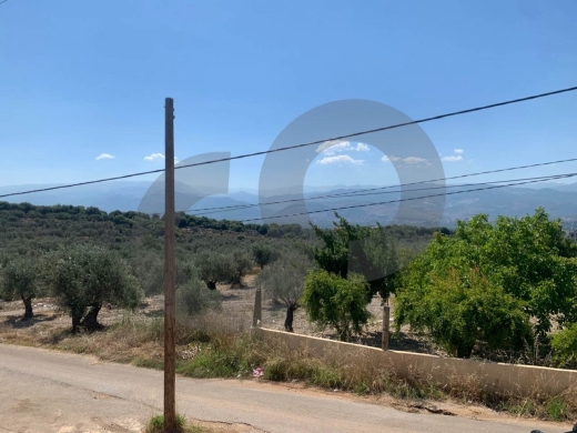 Great Deal, main road, flat land, Afsdiq, Koura/عفصديق REF#YT137888 — 4