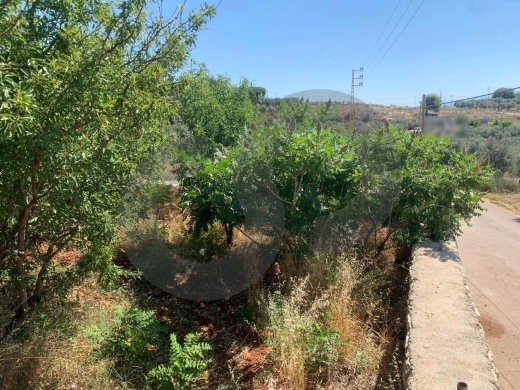 Great Deal, main road, flat land, Afsdiq, Koura/عفصديق REF#YT137888 — 6