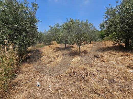 Flat land, great deal, koura, Bhabouch /بحبوش، الكورة REF#PC137365 — 2