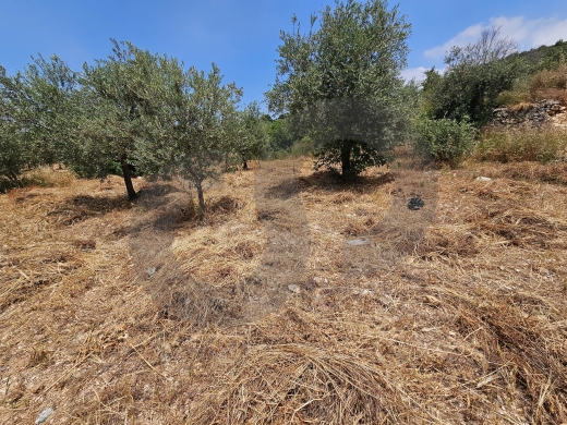 Flat land, great deal, koura, Bhabouch /بحبوش، الكورة REF#PC137365 — 3