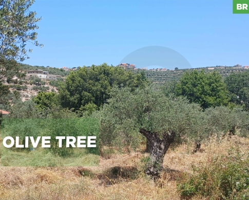 LAND/Kfaraakka, Koura/كورا/Main Road/ REF#BR137252 !