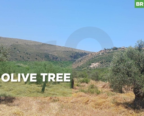 peaceful area, great deal, koura, darbashtar/داربعشتار REF#BR137251