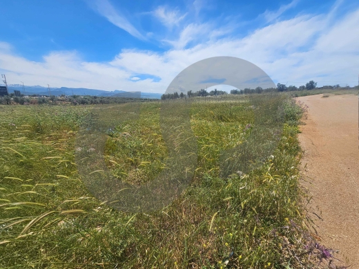 LAND/Upscale neighborhood/الكورة/Koura/ 25/50 zoning / REF#PC136787 ! — 2