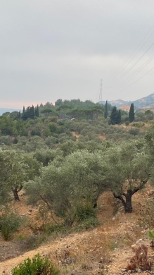7,500 SQM Land With View For Sale in Deir Al Qamar — 3