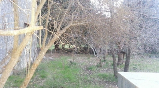 Private House For Sale In Bechmezzine Al Koura Surrounded By A Nice Land — 3