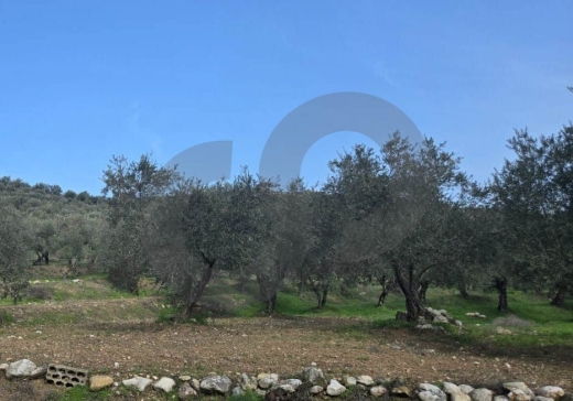 Great deal, prime location, Bezbiza, Koura/بزيزا, الكورة REF#YT136106 — 2