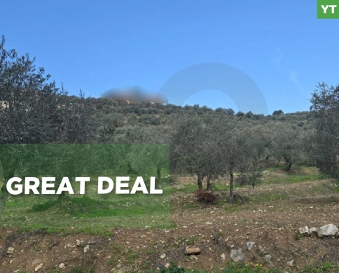 Great deal, prime location, Bezbiza, Koura/بزيزا, الكورة REF#YT136106