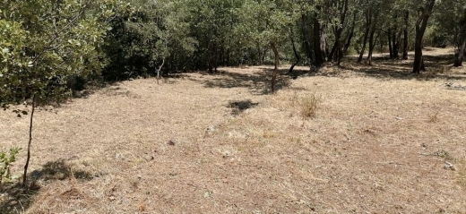 Land for Sale in Bzebdine — 10