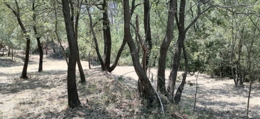 Land for Sale in Bzebdine — 8