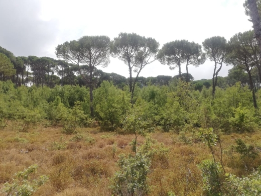 Land for Sale in Bzebdine — 3