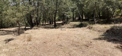 Land for Sale in Bzebdine — 5