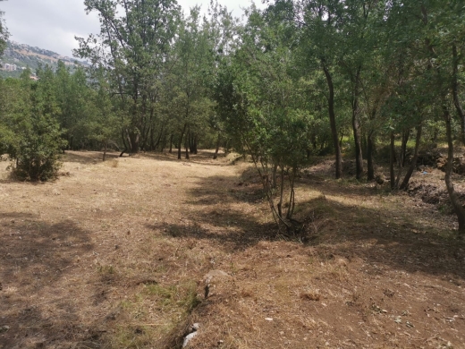 Land for Sale in Bzebdine — 6