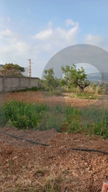 LAND/Koura/Bkeftine/ بكفتين الكورة/zoning 40/80/ REF#RL135779 ! — 2