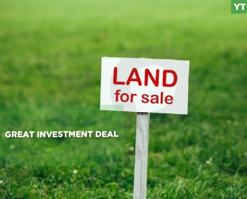 great investment, agricultural, Koura, bziza/بزيزا,الكورة REF#YT135701