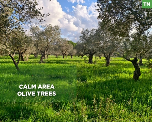 Calm Location, Beshmezzine - Koura/ بشمزين – الكورة REF#TN135333